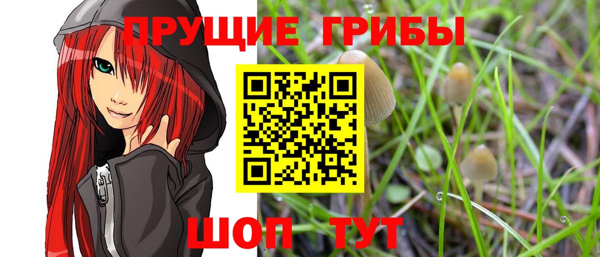 Галлюциногенные грибы Magic Shrooms  Вход с VPN  где найти наркотики  Трёхгорный 
